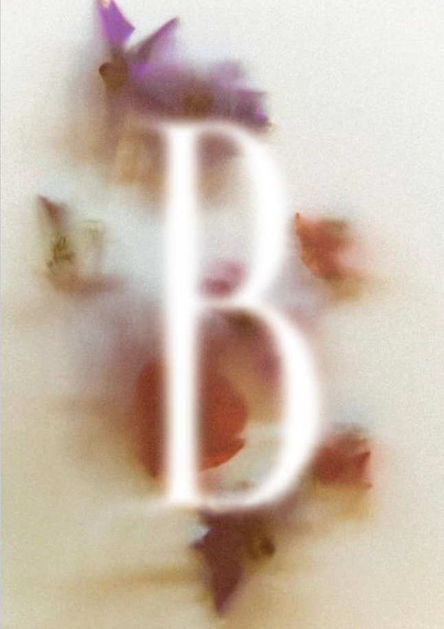 B majuscule blanc sur fond de fleurs floues