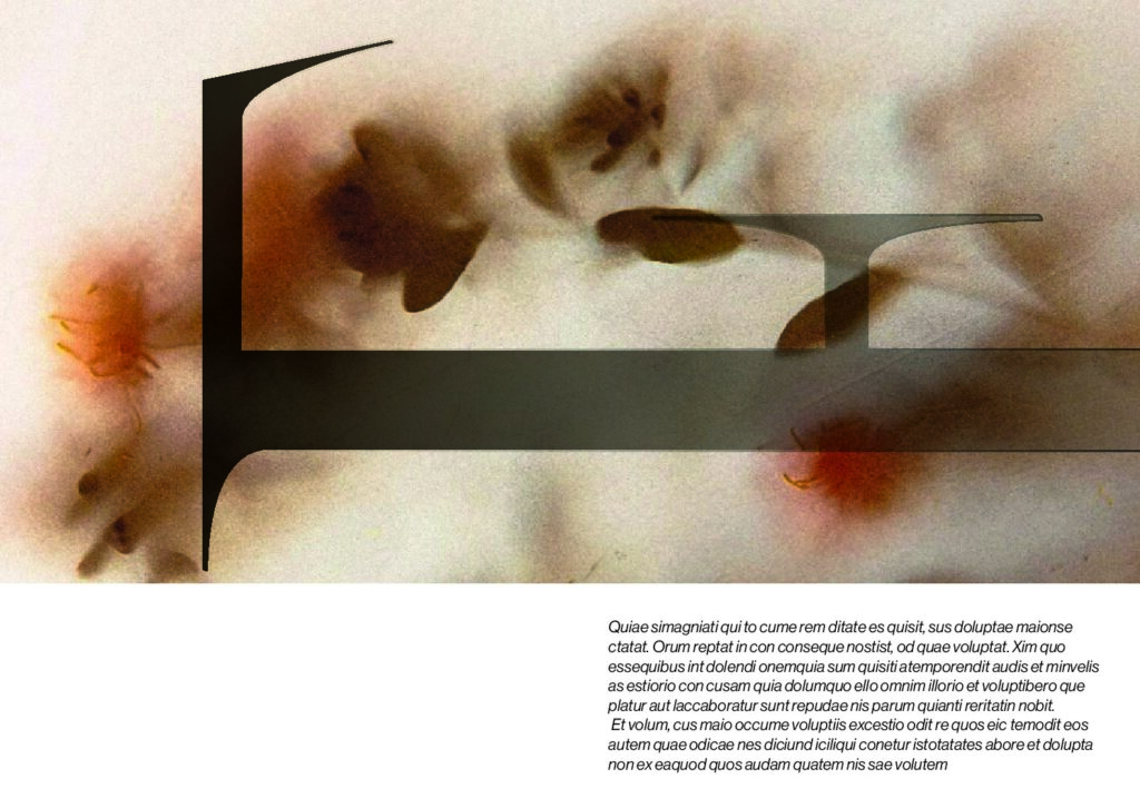 Double page du specimen, avec un E à l'horizontal en gros, le tout par dessus un arrière plan fleuri flou. En dessous à droite, paragraphe de lorem ipsum.