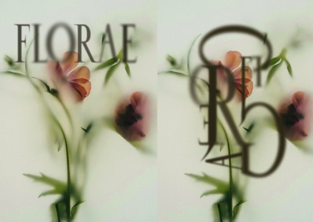 Double page du specimen, avec à gauche le titre "florae" et à droite un monographe de plusieurs lettres, le tout par dessus un arrière plan fleuri flou.