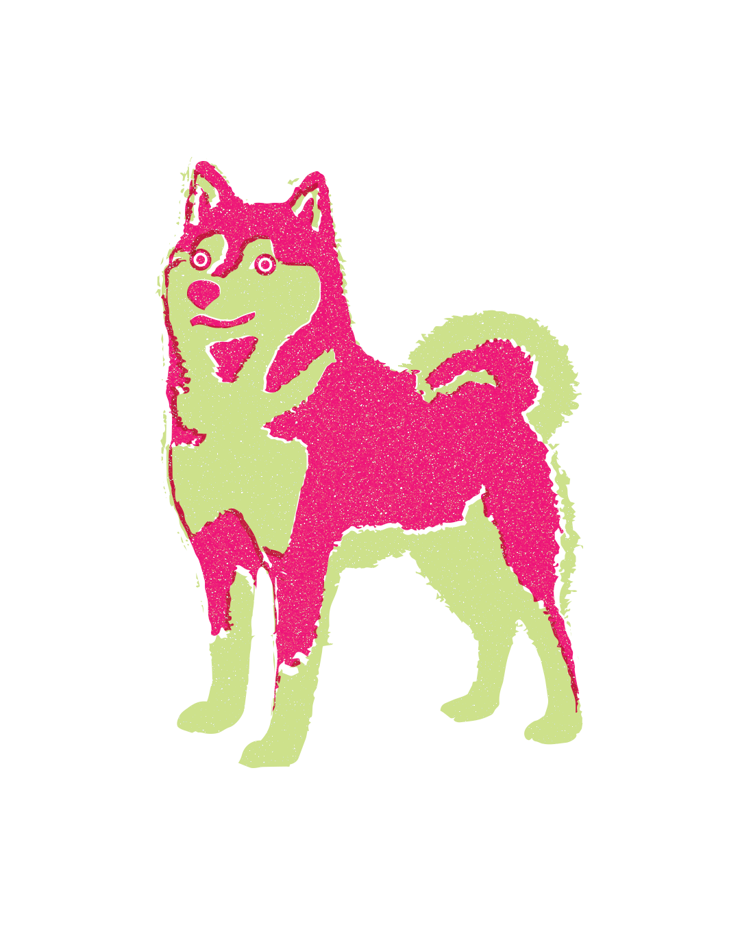 Shiba (1)